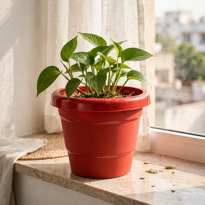 Heavy-Duty Plant Pot 13cm – Sturdy Pot for Indoor Plants