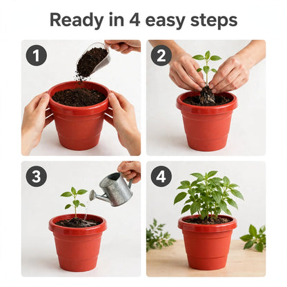 Heavy-Duty Plant Pot 13cm – Sturdy Pot for Indoor Plants